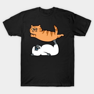 Exotic Shorthair Acroyoga T-Shirt